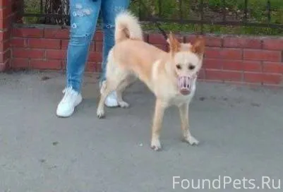 Друзья помогите найти женщину ...