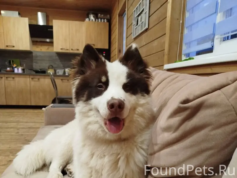 В районе лесозавода пропала со...