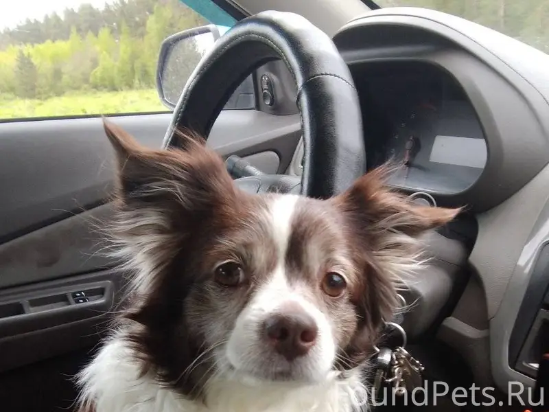 Важная информация ❗ Пропала со...