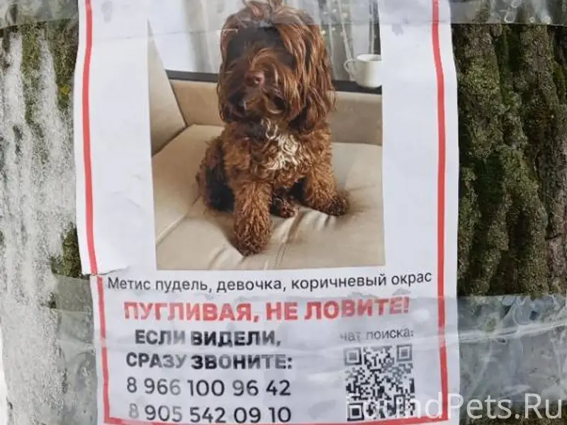 Внимание!!! В Москве пропала с...