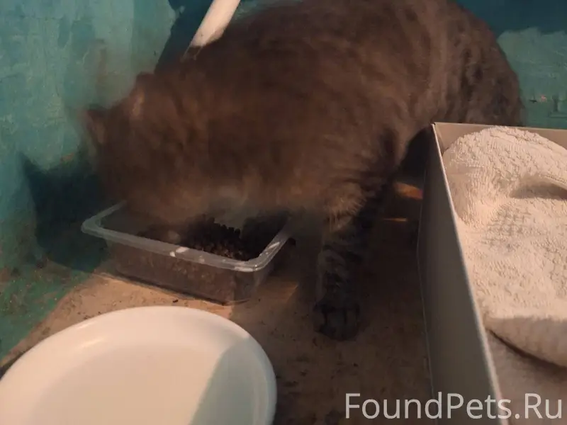 Всем здравствуйте! В районе ул...