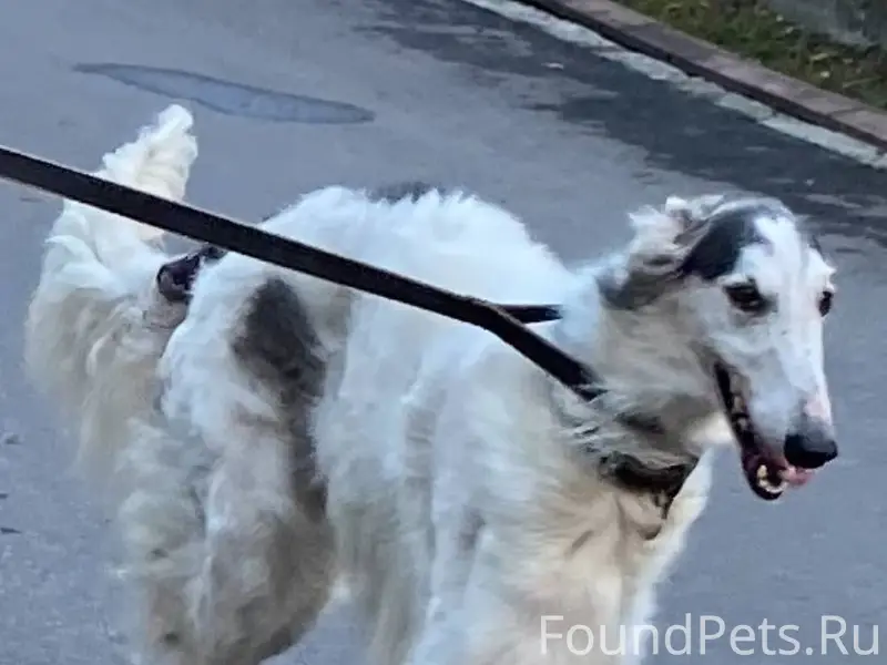 Помогите, пожалуйста! Пропала ...