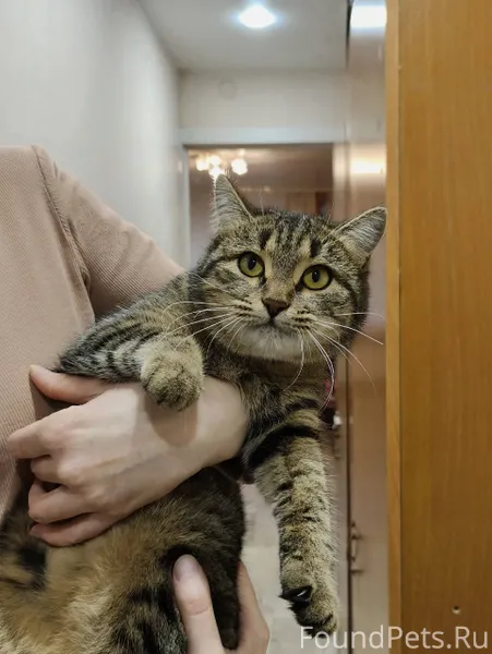 Знакомьтесь! Это Криста! 💎 Оче...