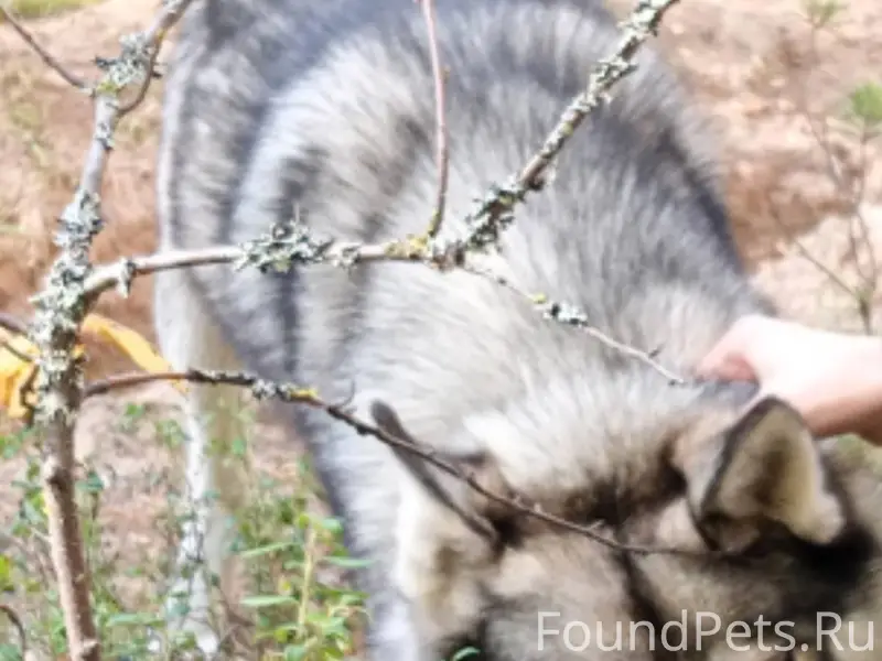 25 декабря на ул. Коммунистиче...