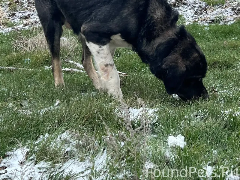 Недалеко от Котельниково в пол...