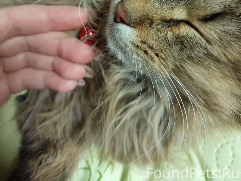 Всем доброго времени суток. На...