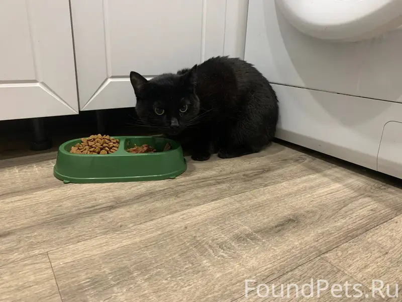 В одном из подъездов дома Лени...