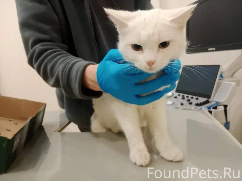 Добрый день... У нас видимо эт...