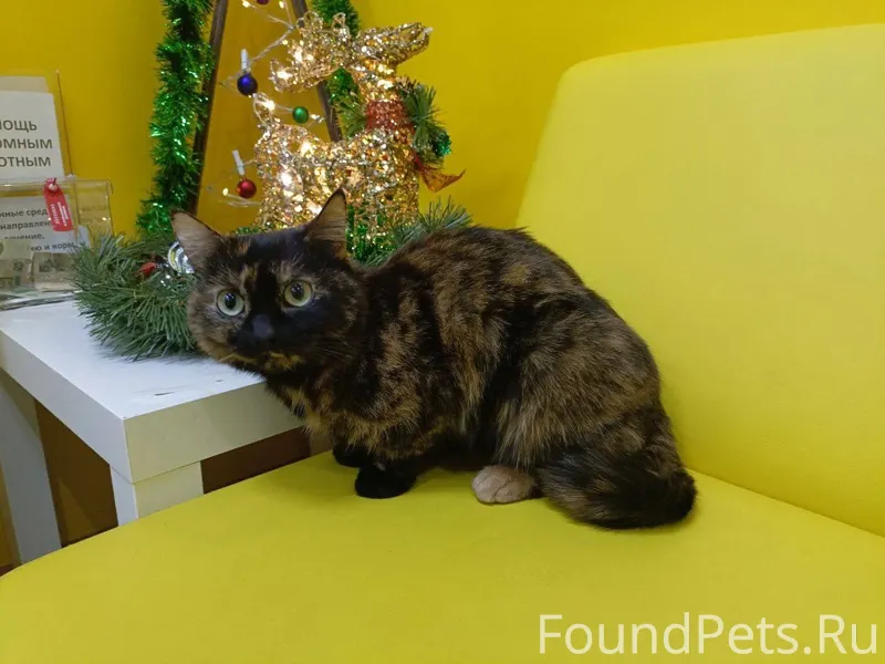 ЛЮДИ С ДОБРЫМ СЕРДЦЕМ, ПРОСИМ ...