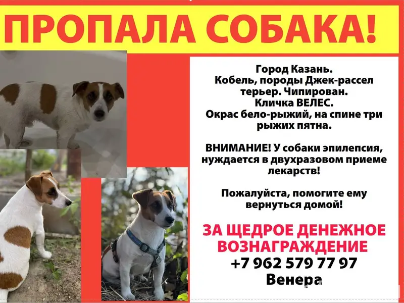 Очень прошу о помощи в поисках...