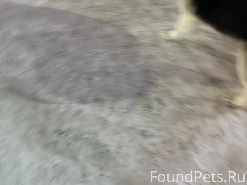 В 20:10 на 11 квартале...