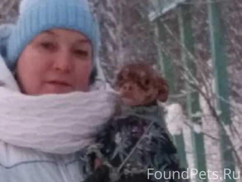 29 декабря в г. Березники проп...