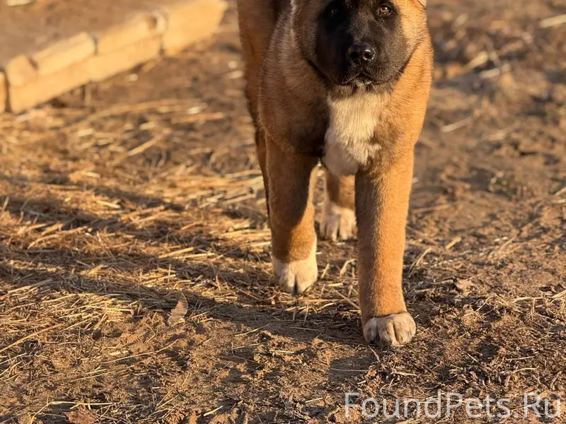 Уважаемые рыбаки! ПРОСЬБА К ВА...