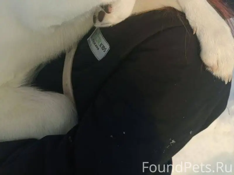 [12.29.2025]—Здравствуйте, бег...