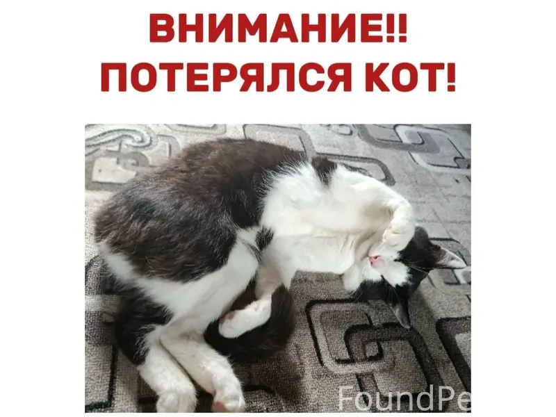 ВНИМАНИЕ!! 25.12 2025 г. ПРОПА...