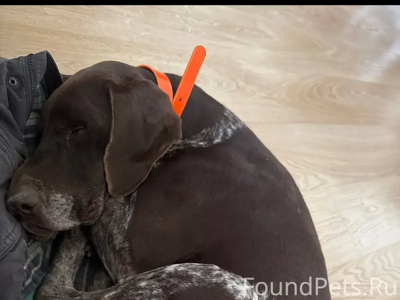 Здравствуйте, помогите найти с...