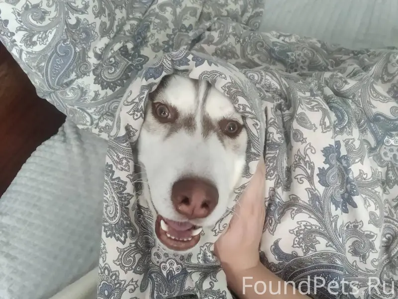 29.12.2025г в 18:40...