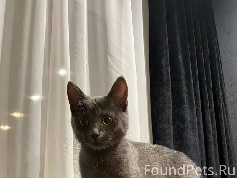 28.12 на заправке на ул...