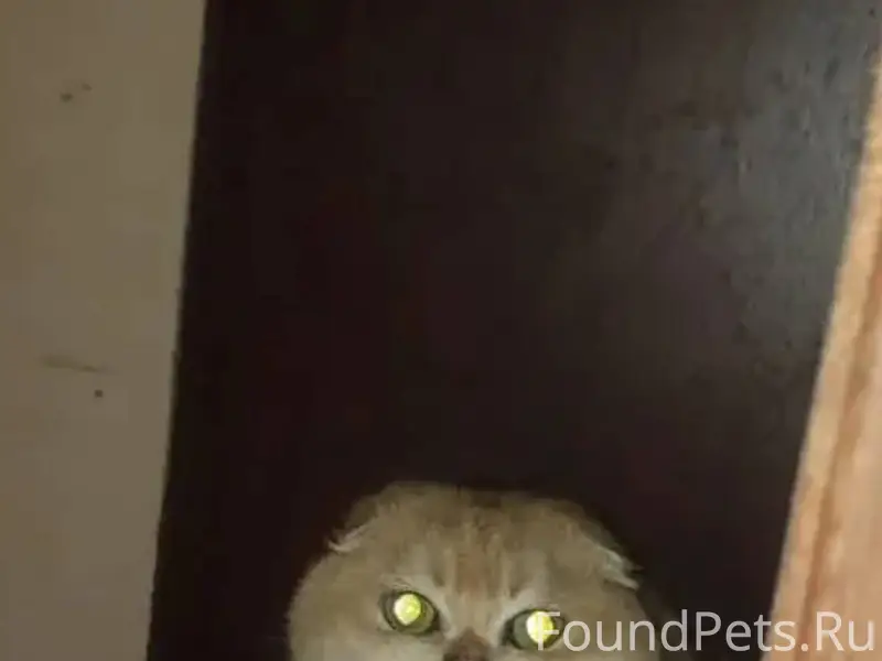 ЛО, Кингисеппский район, масси...