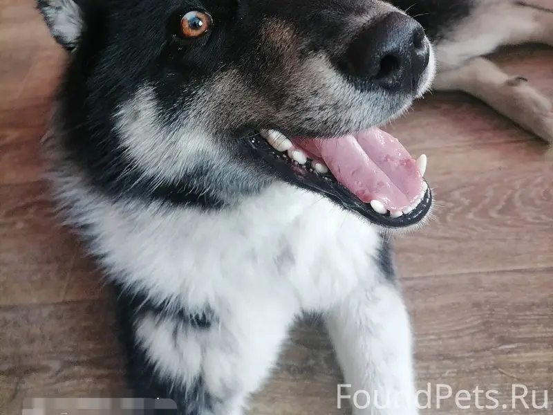 В РАЙОНЕ ДЕПО-2 НАЙДЕН МОЛОДОЙ...