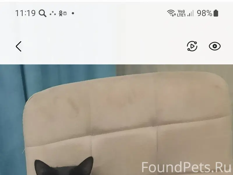 Пропал кот в районе машзавода,...