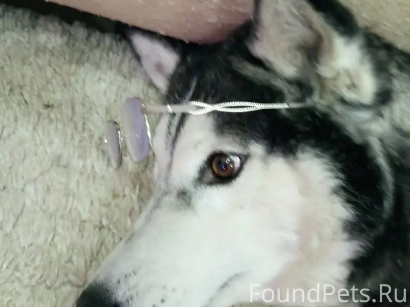 Сегодня 29 декабря утром, во в...