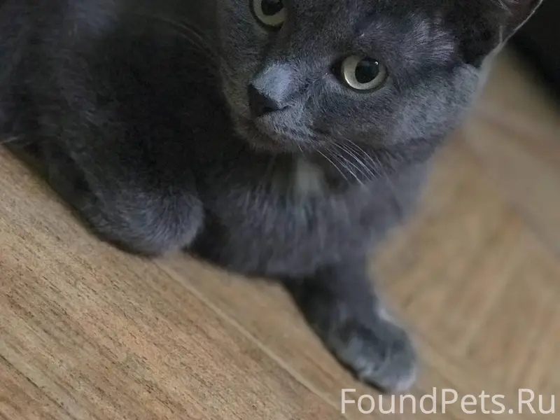 ‼️‼️‼️ТЮМЕНЬ‼️‼️‼️ 🆘🆘ПОМОГИТЕ ...