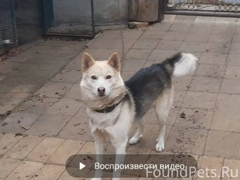 🔴ВНИМАНИЕ🟠 В районе посёлка Ст...