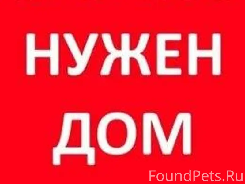 МАКСИМАЛЬНЫЙ РЕПОСТ ! Ленински...