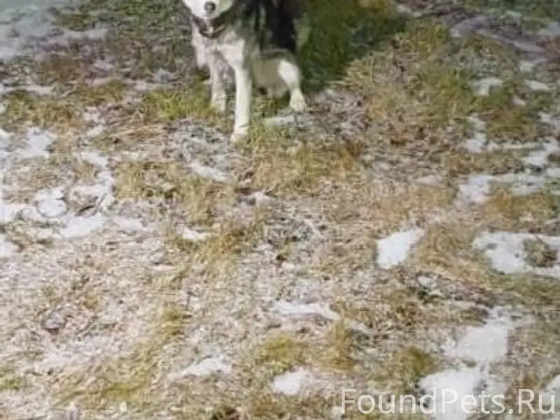 У нас на Опорном появилась мол...