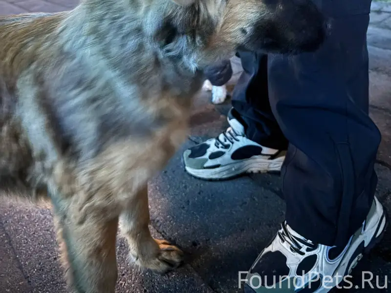 Сельмаш, Космонавтов, Богданов...