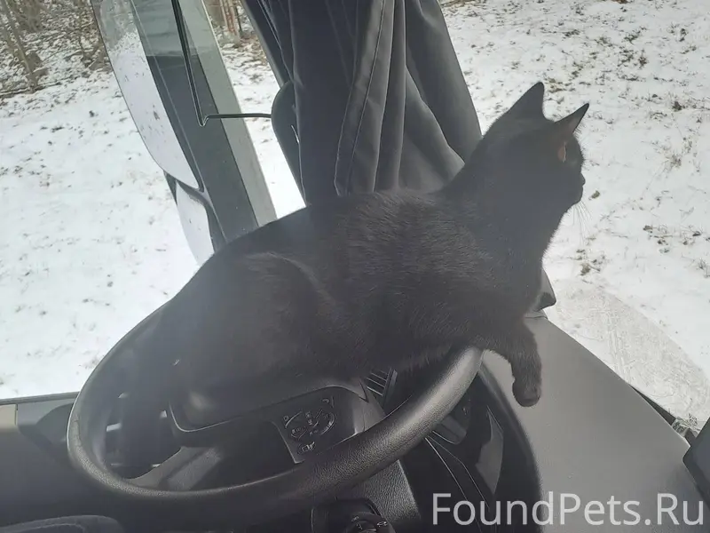 Дорогие Беларусы , Мозыряне и ...