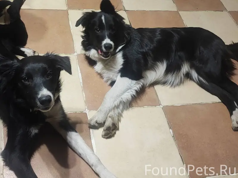 Помогите найти двух молодых со...