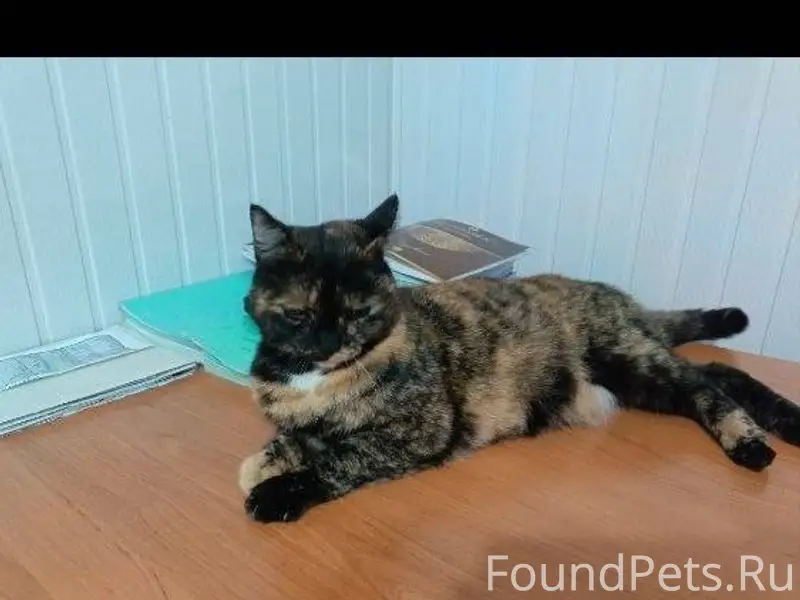 Город Усть-Каменогорск Здравст...