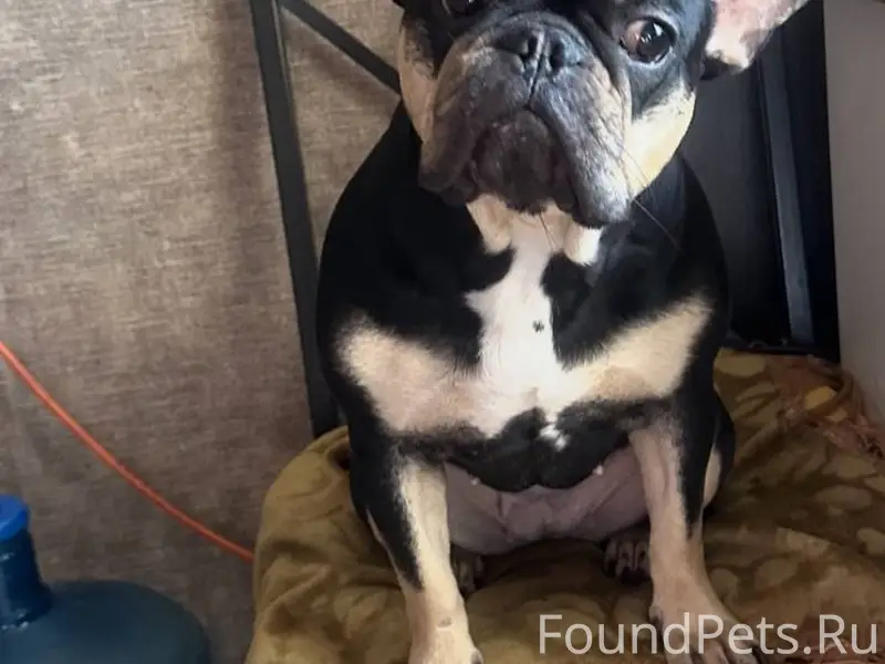 Очень срочно! Пожалуйста помог...