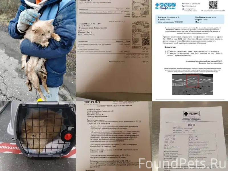 Москва, Московская и Калужская...