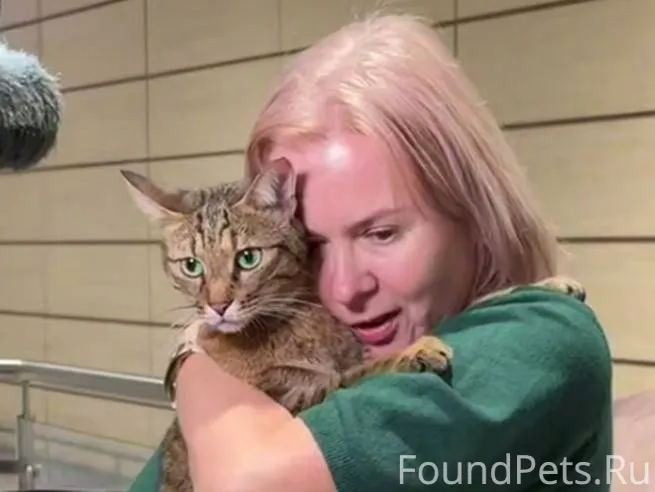 Чертяка! 😸😹 Пропавшего в поезд...