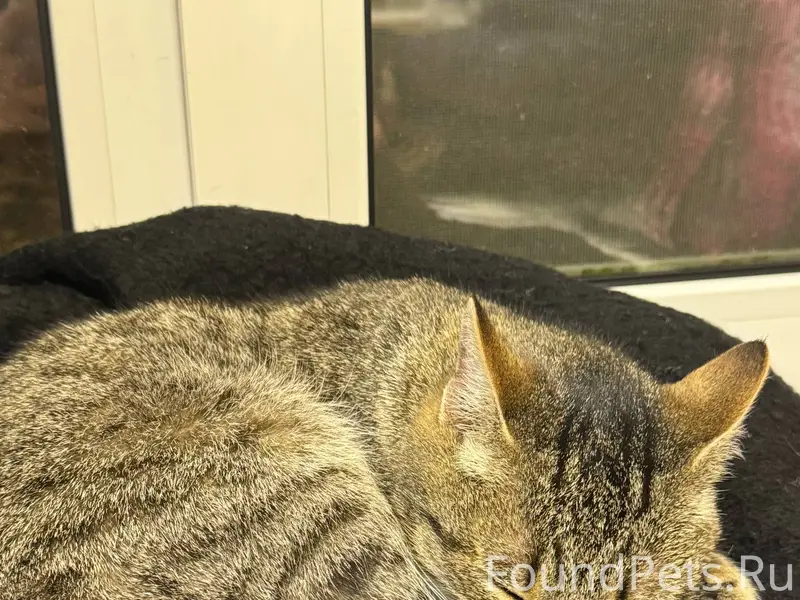 02.12, в районе 18-19...