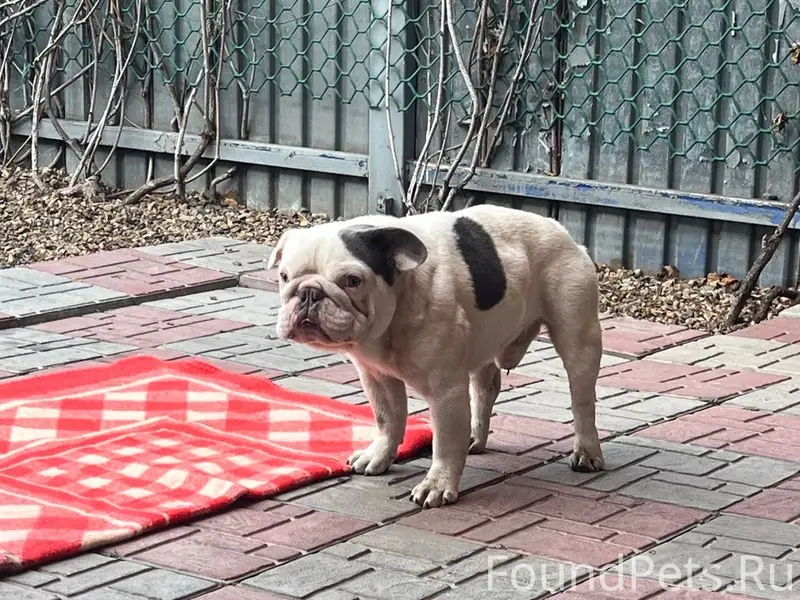 Всем здравствуйте, недавно вид...