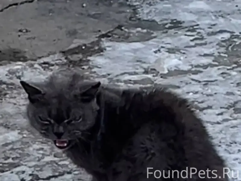 📍ул. Геодезическая, г. Обь Най...