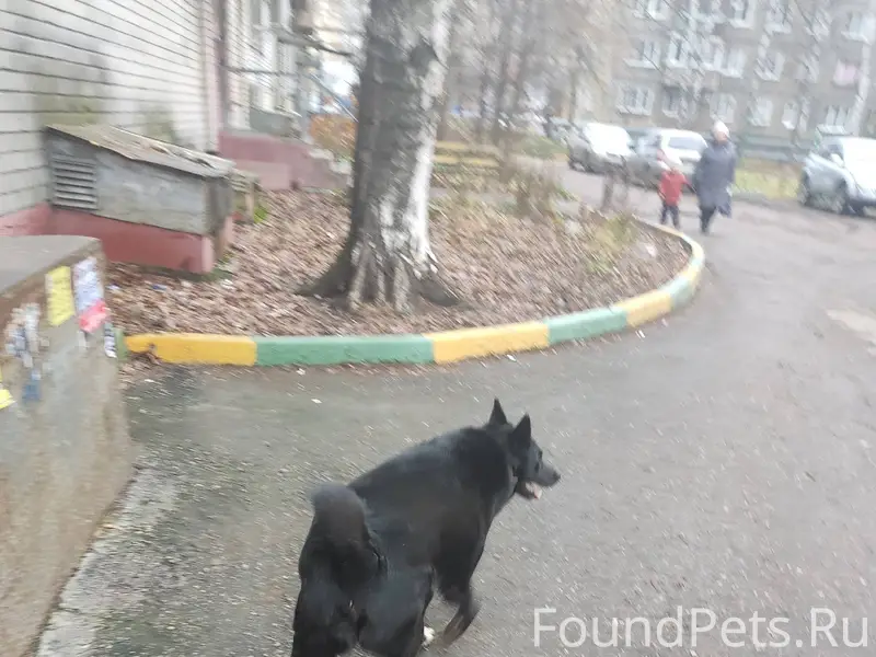 На ул гл Успенского в ленинско...