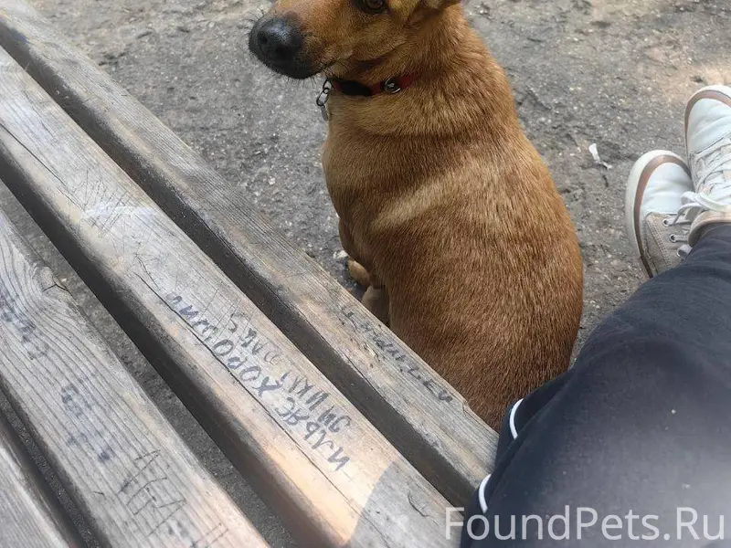 Вчера вечером, 1 декабря, окол...