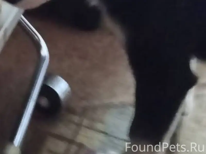 СРОЧНО!!⚠️⚠️⚠️⚠️⚠️⚠️⚠️⚠️🆘️🆘️🆘️...