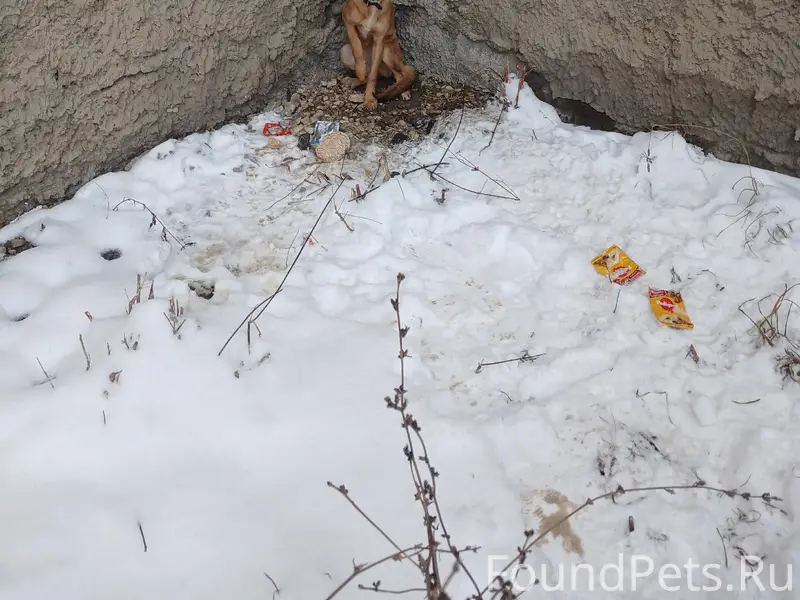 Дзержинск, около Юбилейного, с...