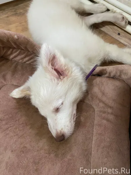 Здравствуйте,выставите пожалуй...