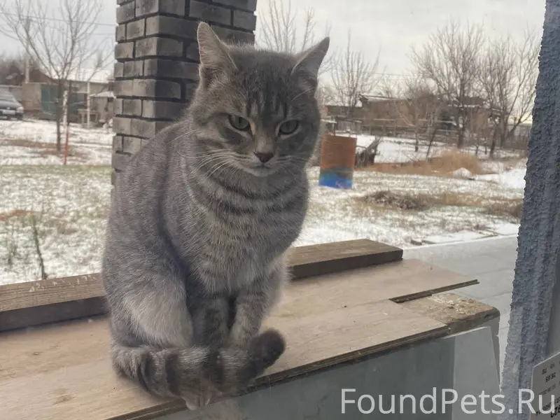 Доброго дня! И снова про этого...