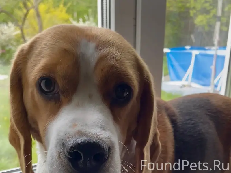 Не анонимно, пожалуйста. Пропа...