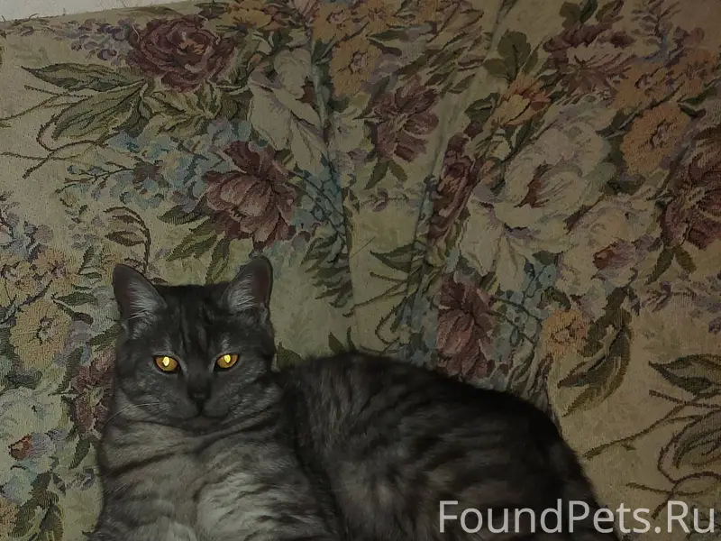 Автор; https://vk.ru/id1161129...