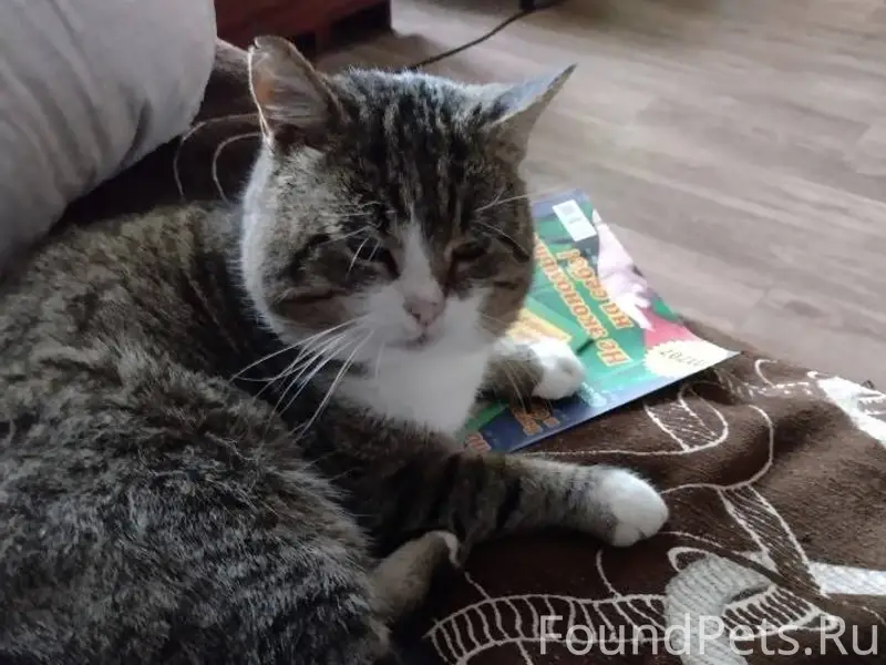 Г.Михайловка .25 декабря пропа...