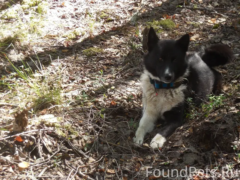 Внимание, нужна помощь! Потеря...